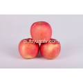 Eksportuj nową uprawę Dobra jakość Konkurencyjne jabłko Fuji